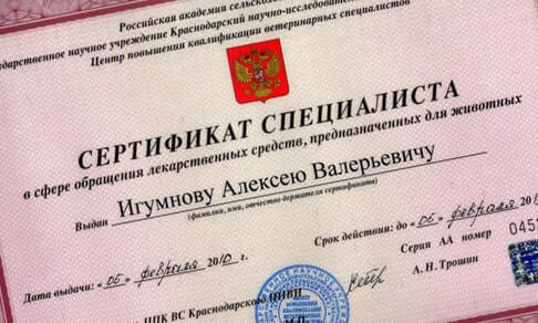 Продажа сертификатов с любых курсов без обучения и экзаменов